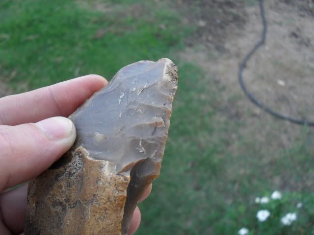 SDC10806.jpg
