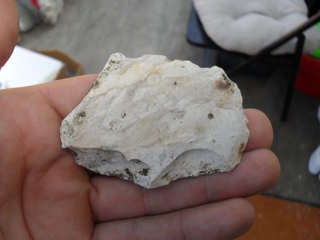 SDC10558.jpg