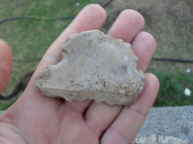 SDC10071.jpg