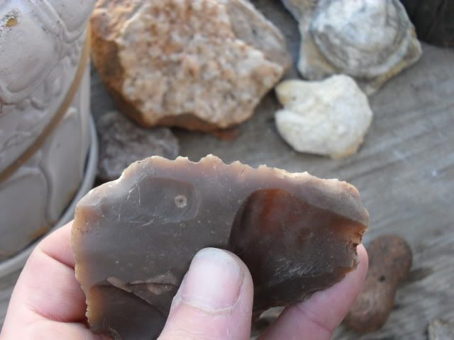 SDC10163.jpg