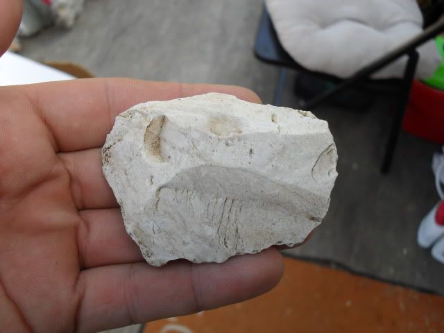SDC10557.jpg