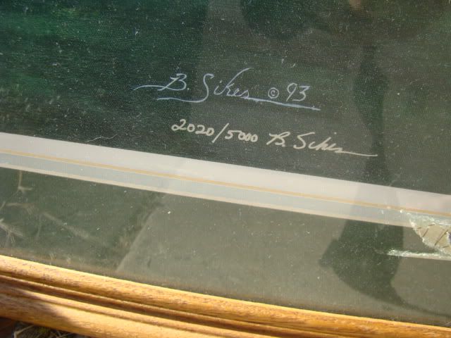 DSC00493.jpg