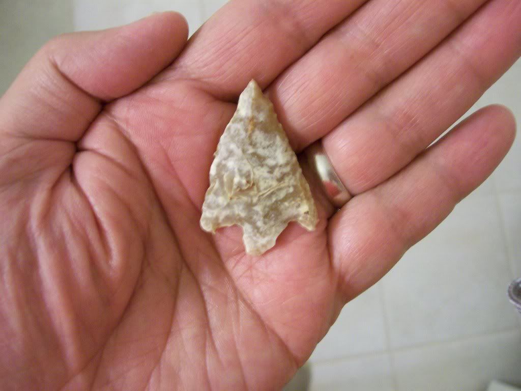 100_3071.jpg