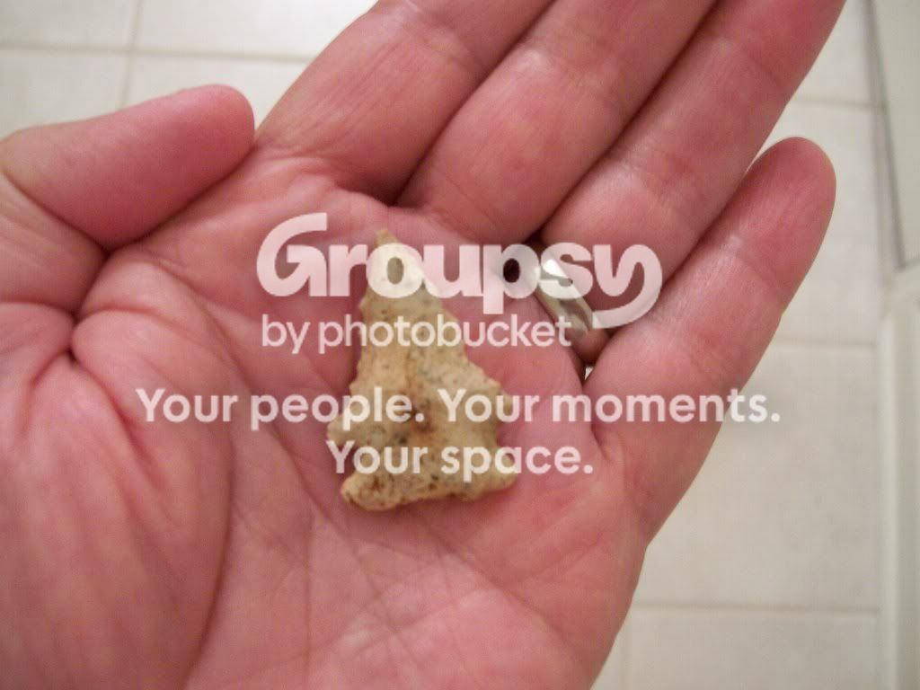 100_4250.jpg