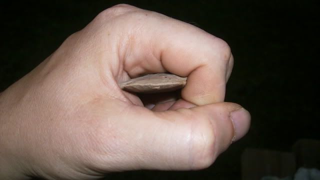 DSCI0107.jpg