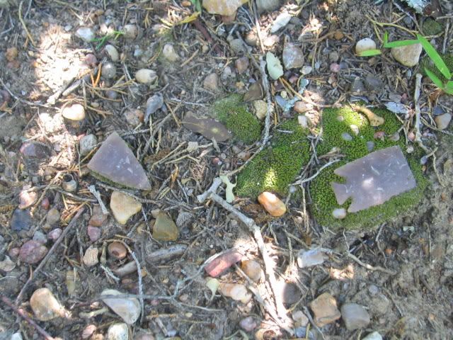 IMG_5702.jpg