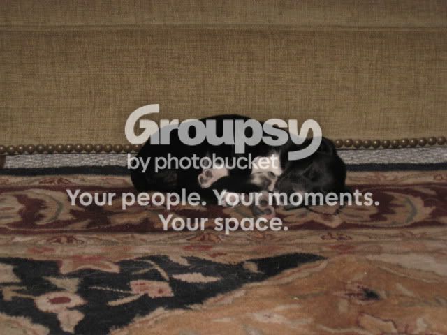 IMG_8671.jpg