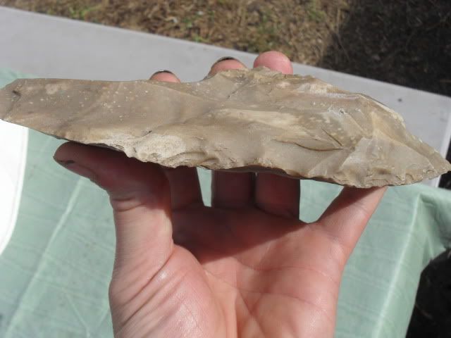 SDC10225.jpg