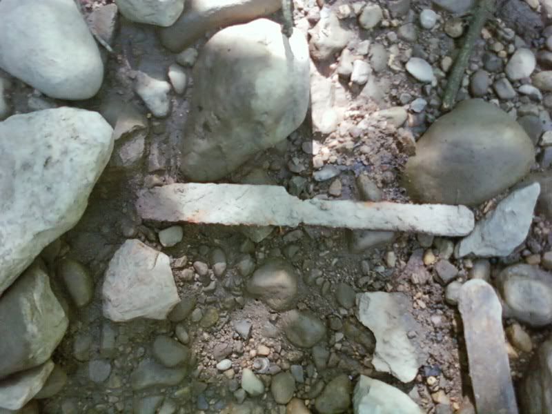 img1250194481594.jpg