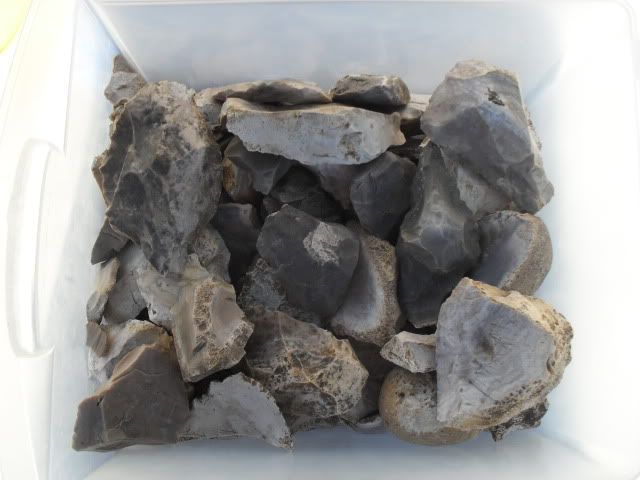 SDC10925.jpg