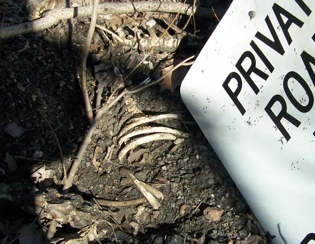PrivateRoad014_crop.jpg