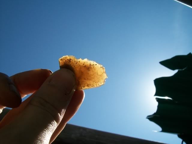 100_0536.jpg
