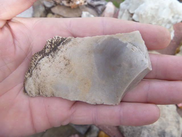 P1020046.jpg