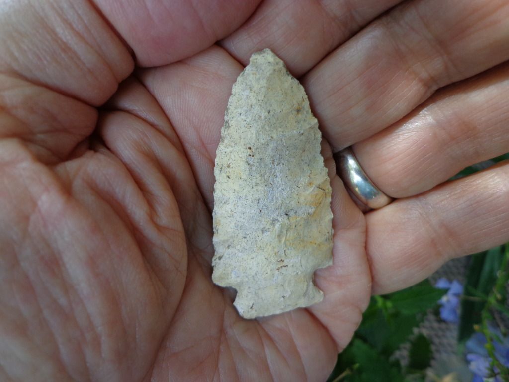 DSC00094.jpg