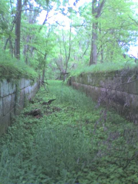 051409_1149a.jpg