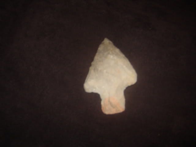 DSC03536.jpg
