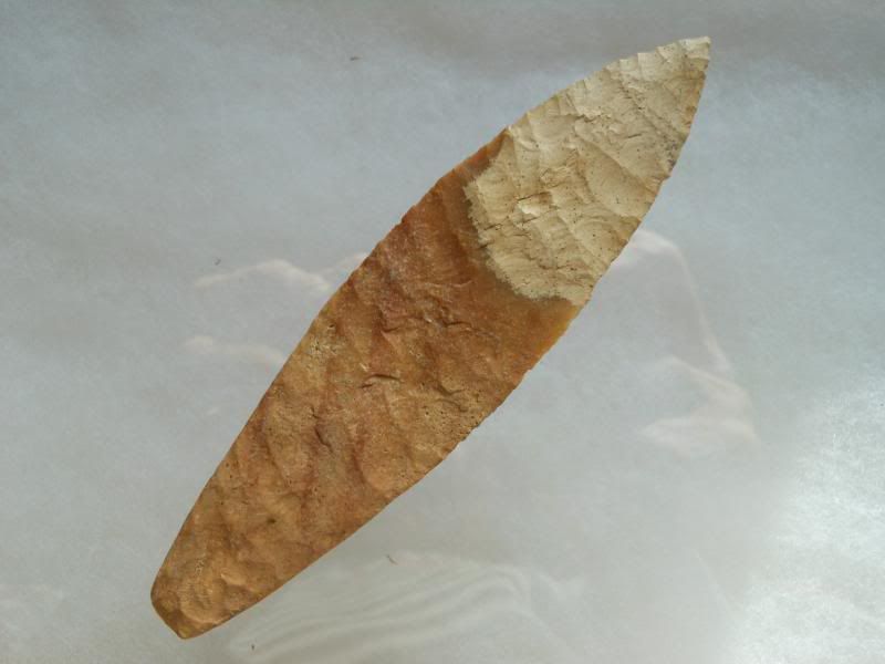 DSCN3240.jpg