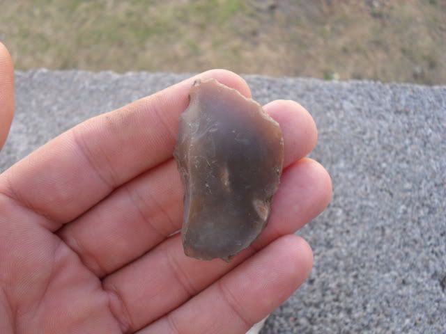 SDC10279.jpg
