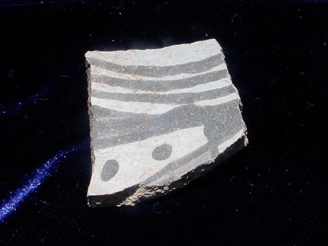 DSC00482-1.jpg