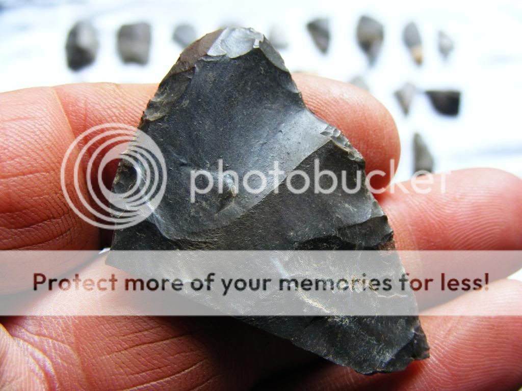 2009_0903box30009.jpg