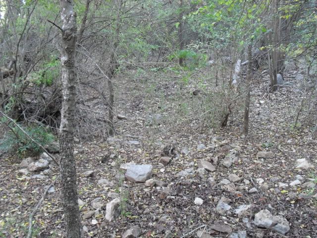 SDC10064.jpg