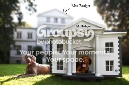doghouse.jpg