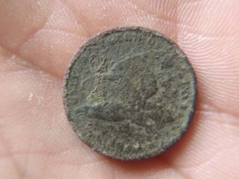 PA230585.jpg