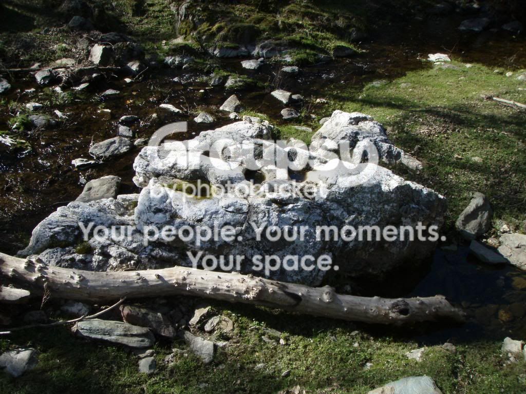 grindingrock.jpg