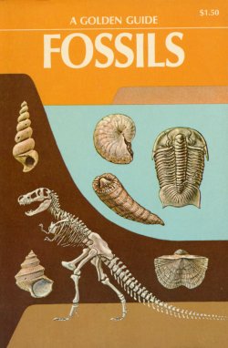 fossils_02.jpg