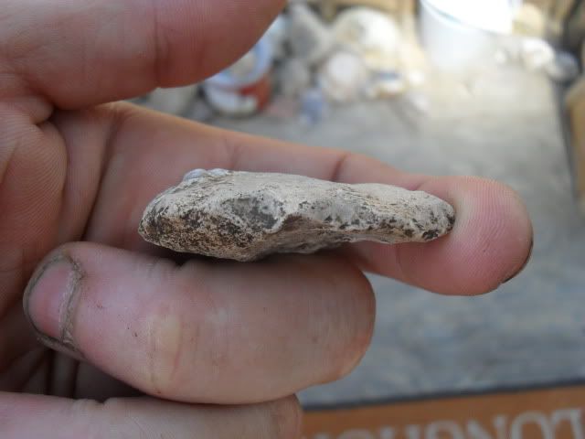 SDC10547.jpg