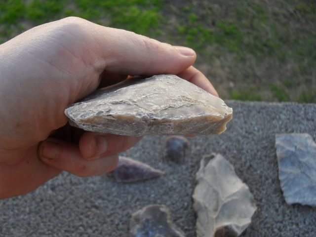 SDC10028.jpg