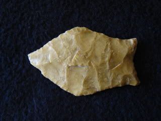 IMG_3978.jpg