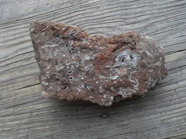 SDC17568.jpg
