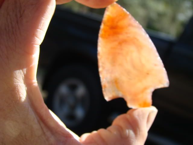 DSC07348-1.jpg