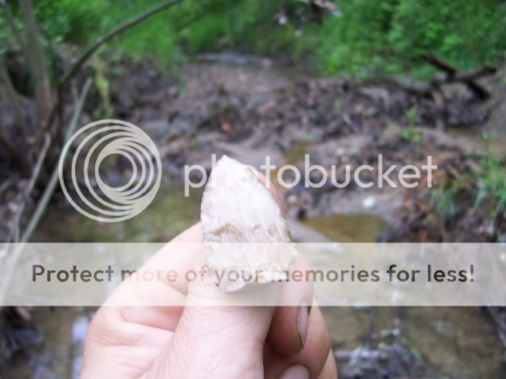 creekfinds008.jpg