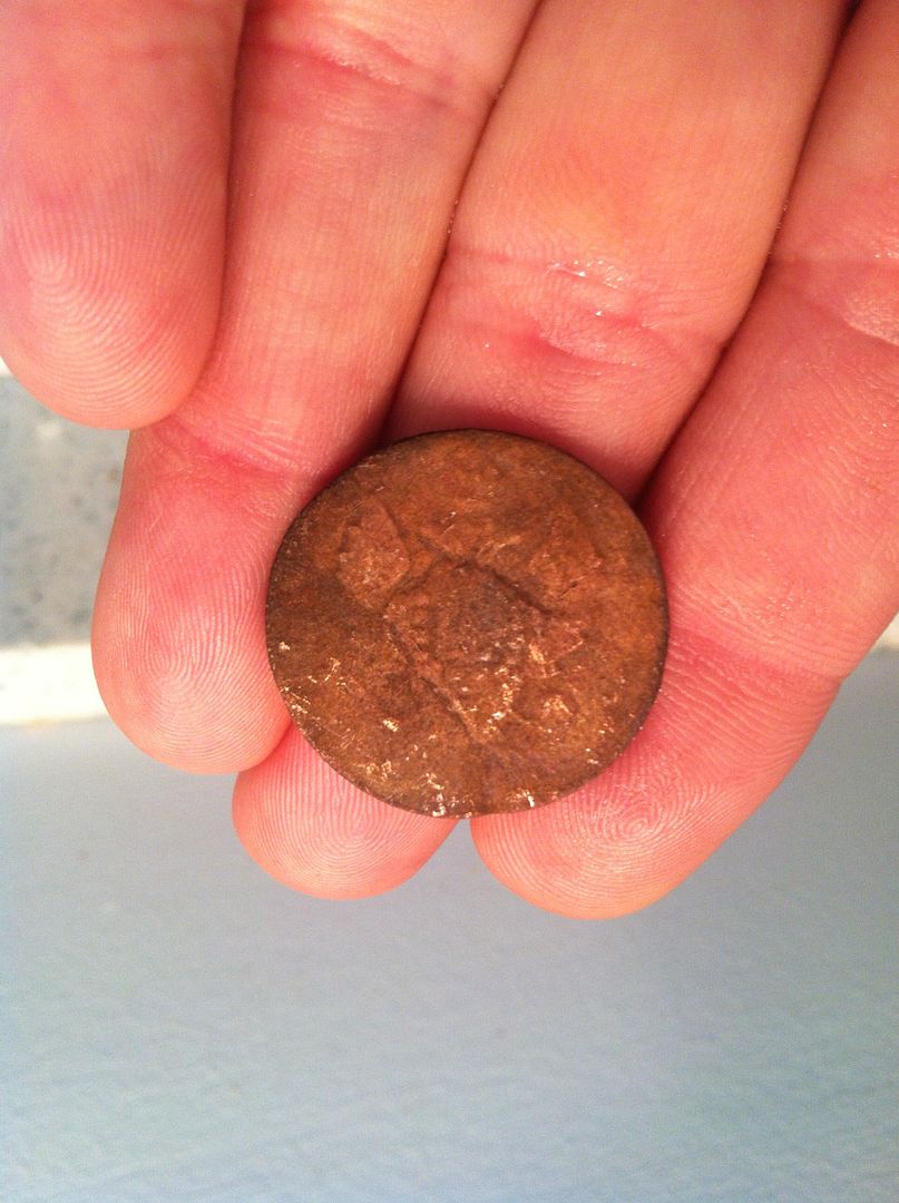 coin1.jpg
