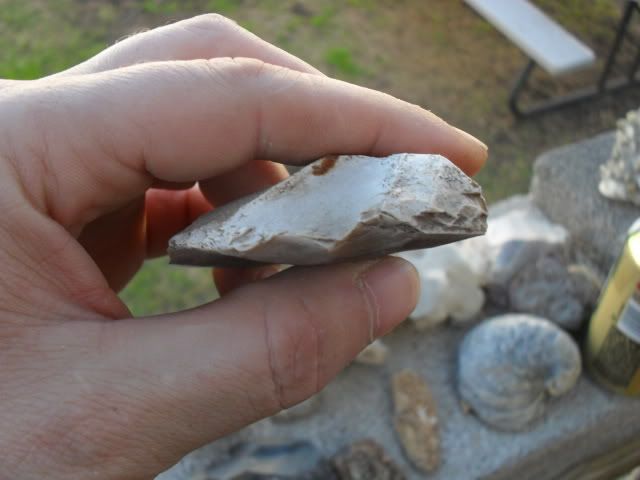 SDC10176.jpg