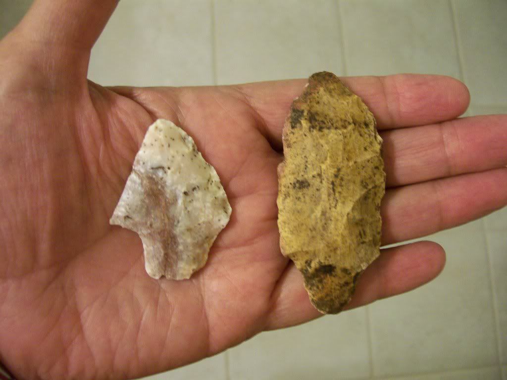 100_3273.jpg
