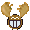 moose.gif~original