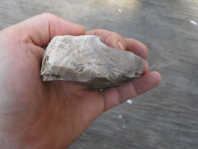 SDC10491.jpg