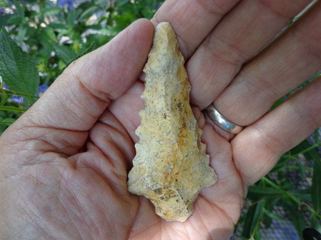 DSC00092.jpg