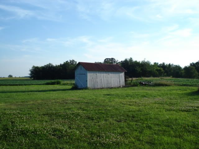 Picture485.jpg