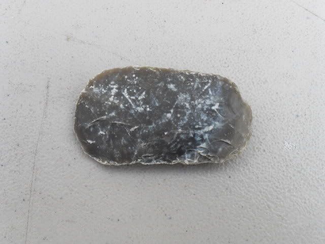 SDC11336.jpg