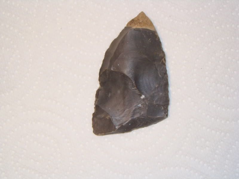 DSC00354.jpg
