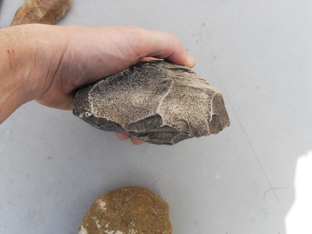 SDC11376.jpg