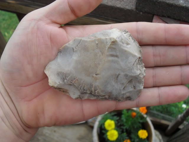 SDC10768.jpg