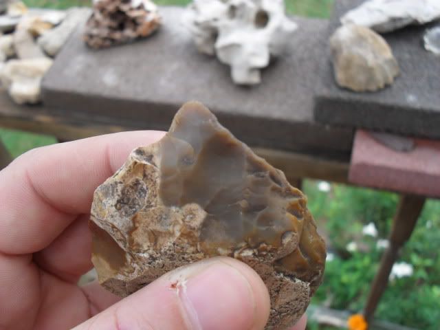 SDC10767.jpg