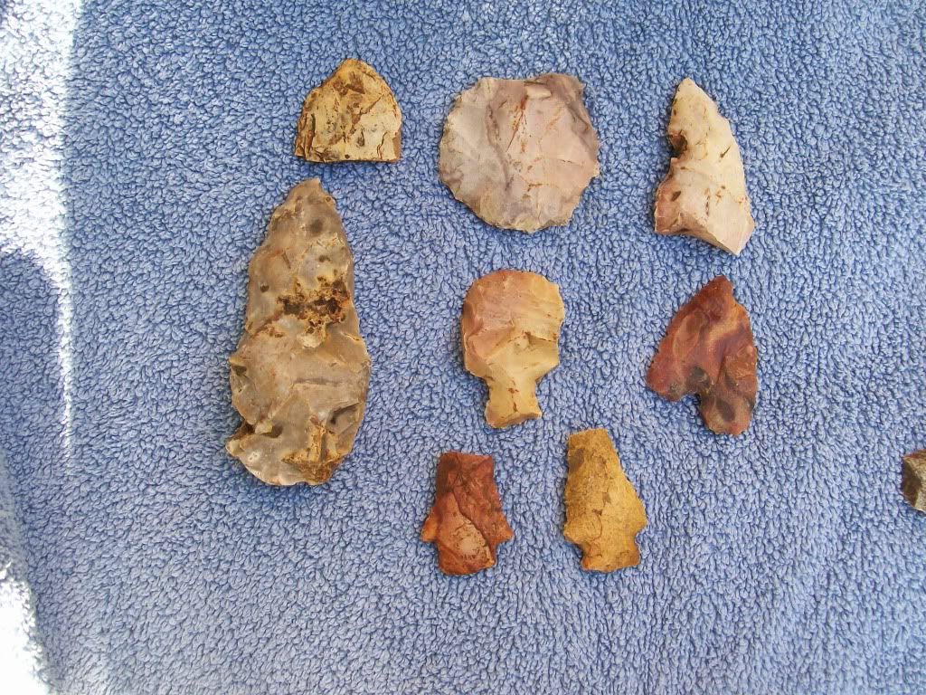 100_4960.jpg