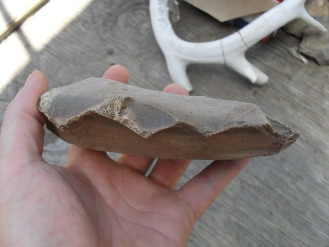 SDC10162.jpg