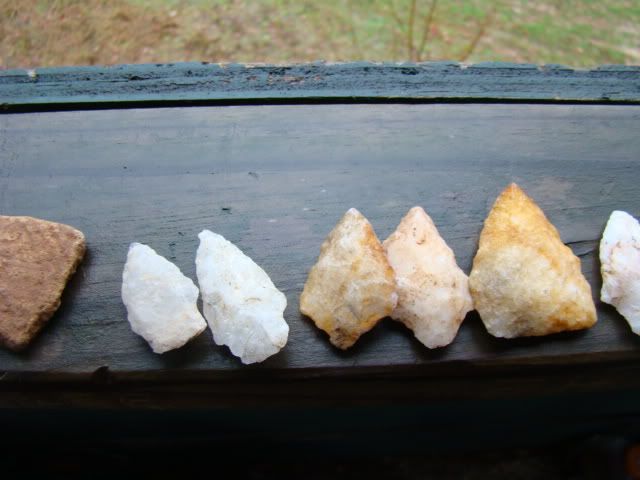DSC00774-1.jpg